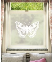 Vlinder Window Film Design