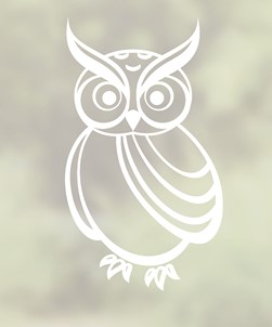 Ugle Wise Old Owl Window Film