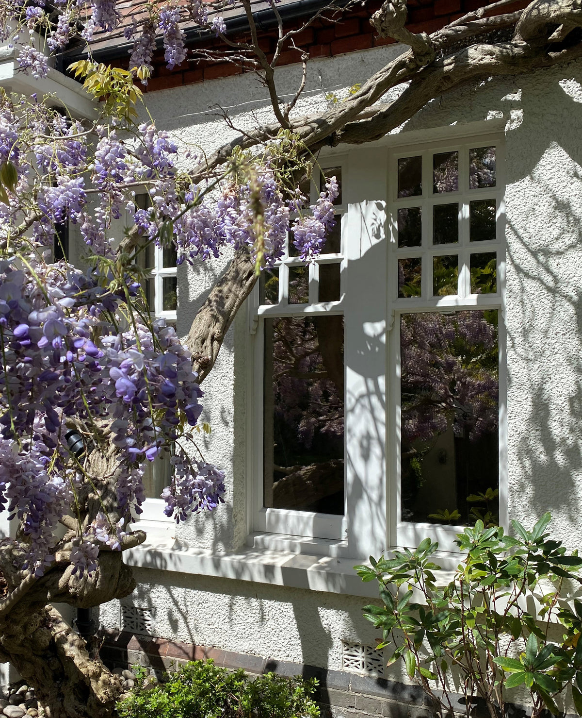 Climate 70 | Conservatory Window Film