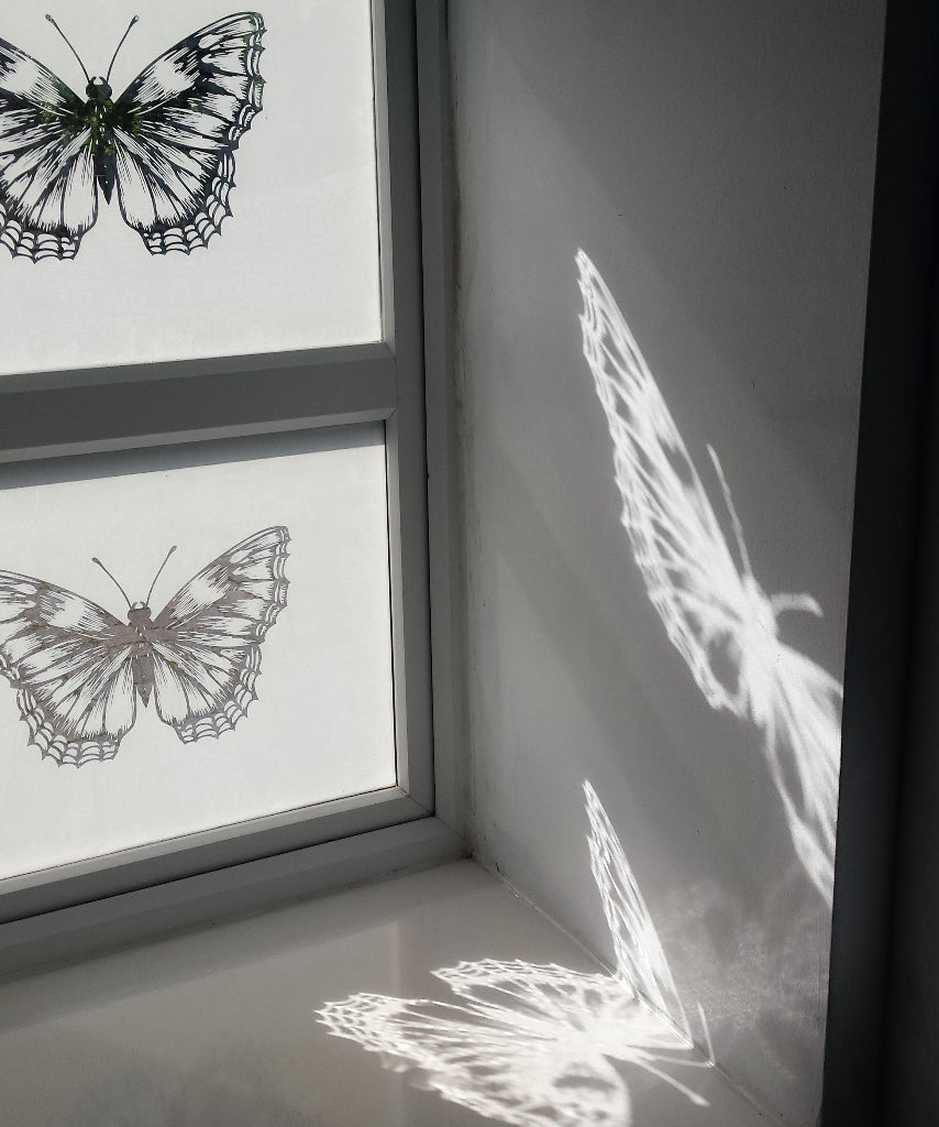 A bespoke printed window film with a butterfly design casting a light shadow onto the window frame.