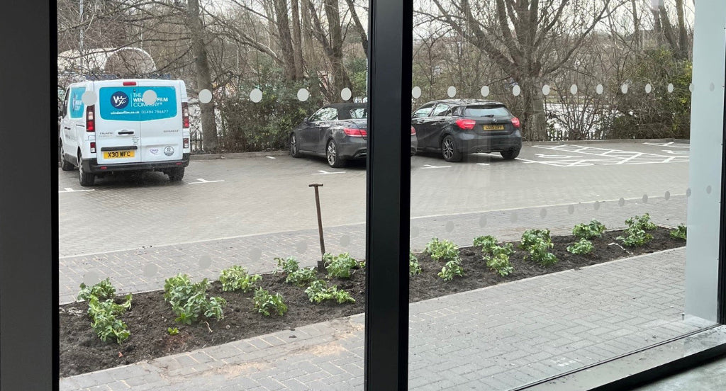 Frosted manifestation markings applied at two levels to a large glass window.