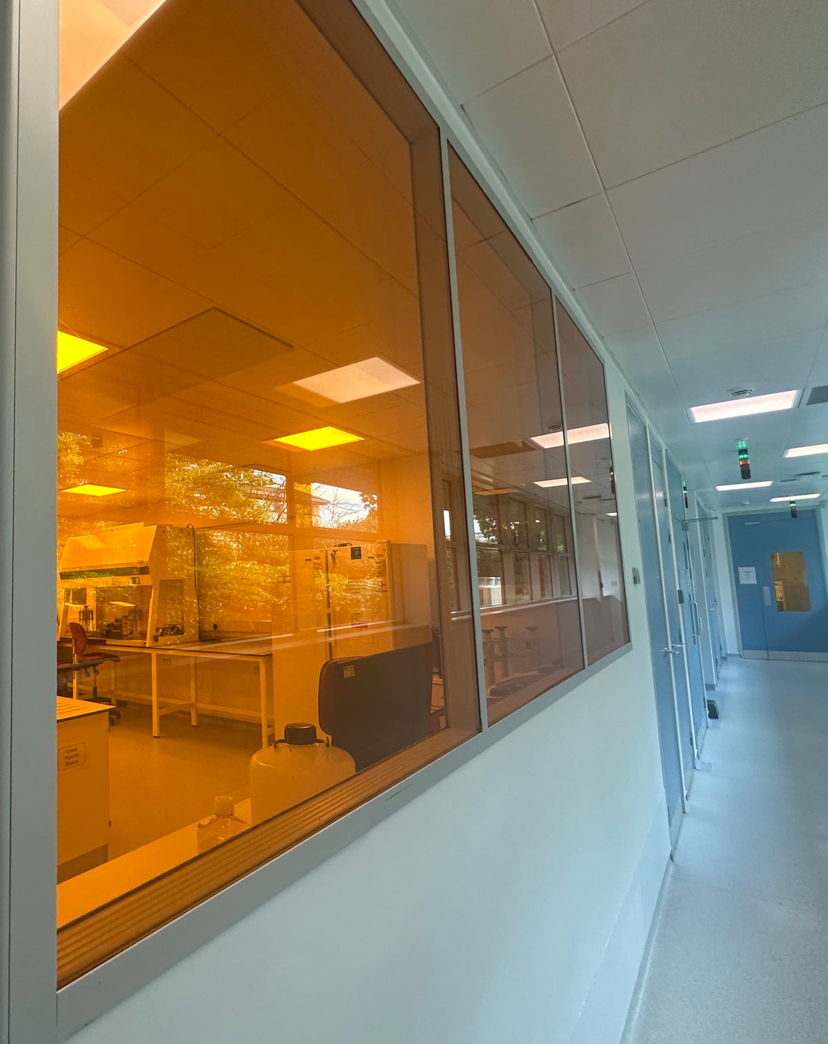 An internal view of a medical facility with Amber 81 UV protection applied to the windows.