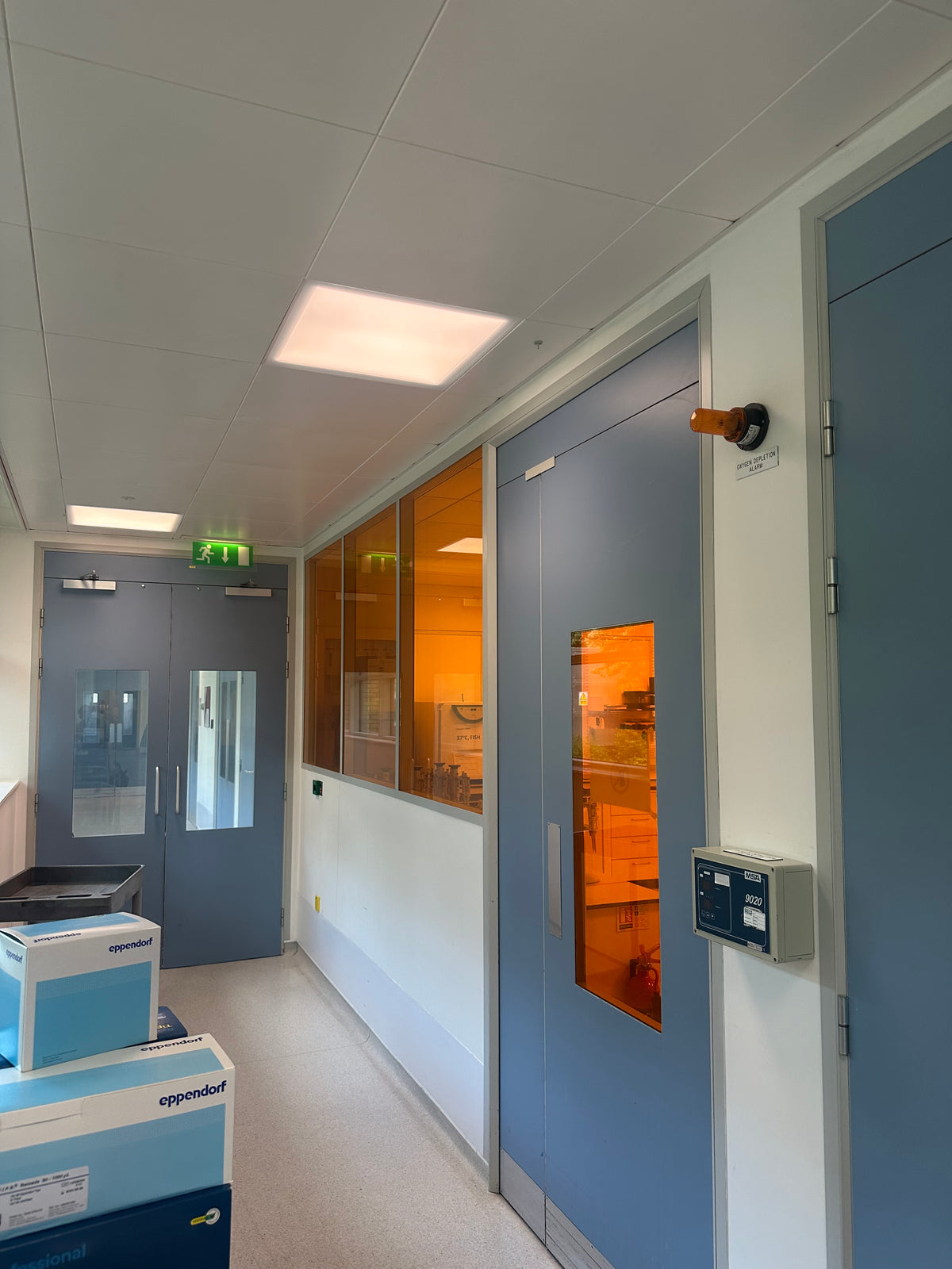 Corridor in a laboratory setting featuring windows and a glass panel in a door that have Amber 81 UV protection window film applied, making the glass Amber in appearance. 