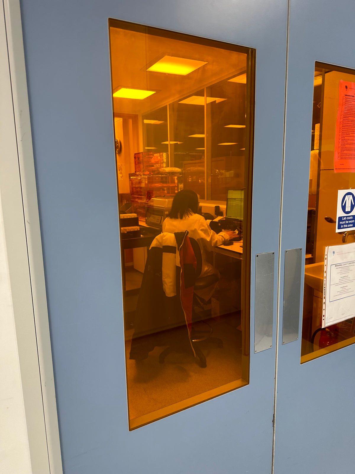 Doors at the entrance to a lab facility with glass panels that have had Amber 81 UV protection window film installed for advanced UV protection. 