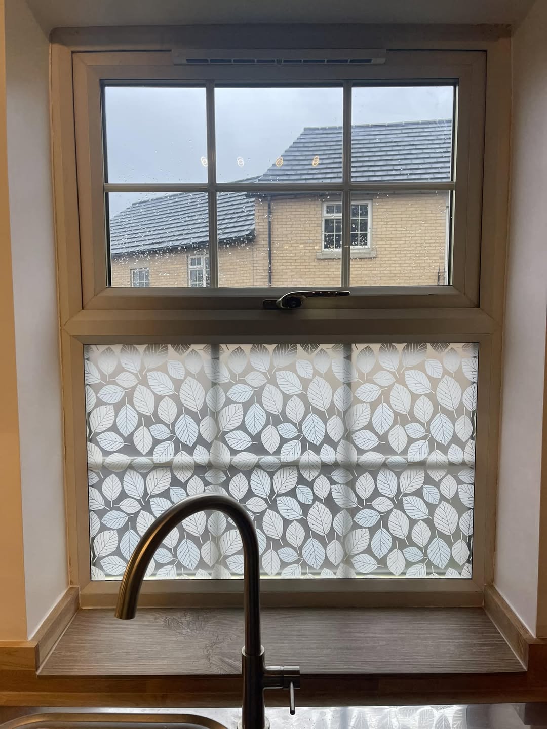 Beech Leaves - Hannah Nunn Designer Film