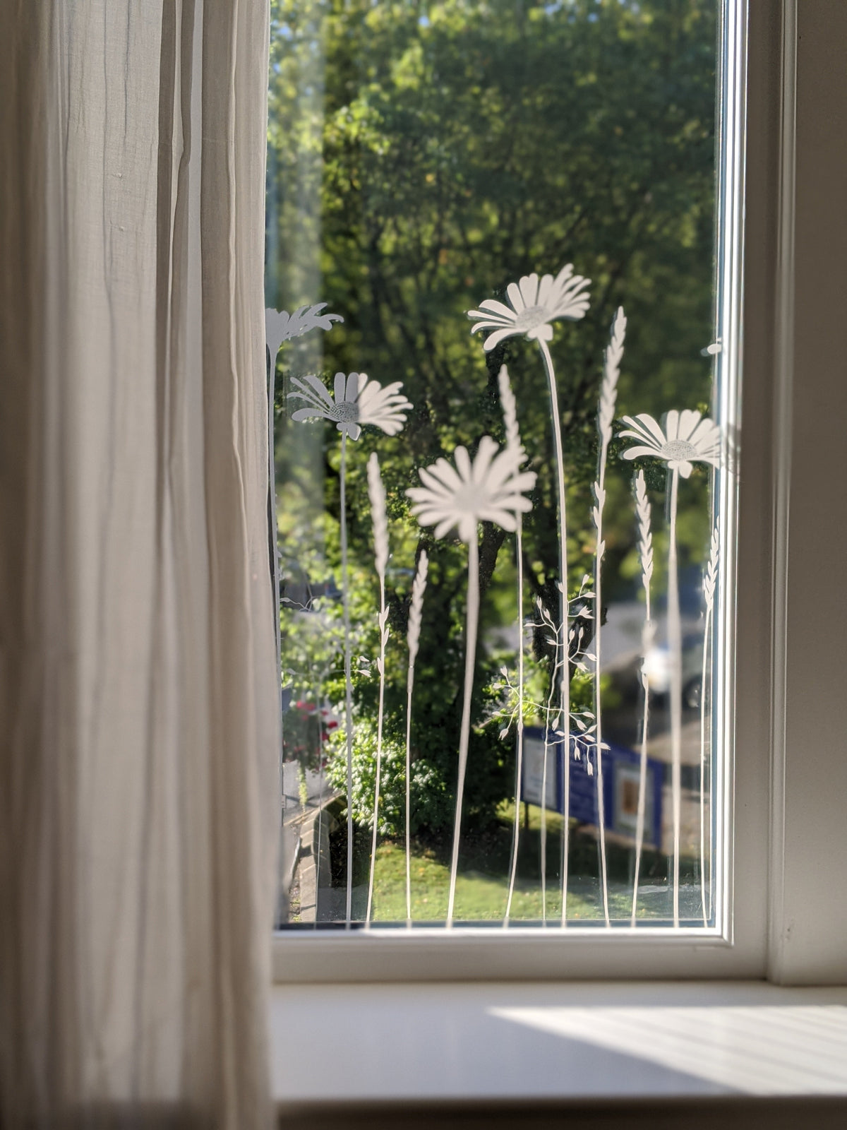 Daisy style window film applied to a window for glass decoration.