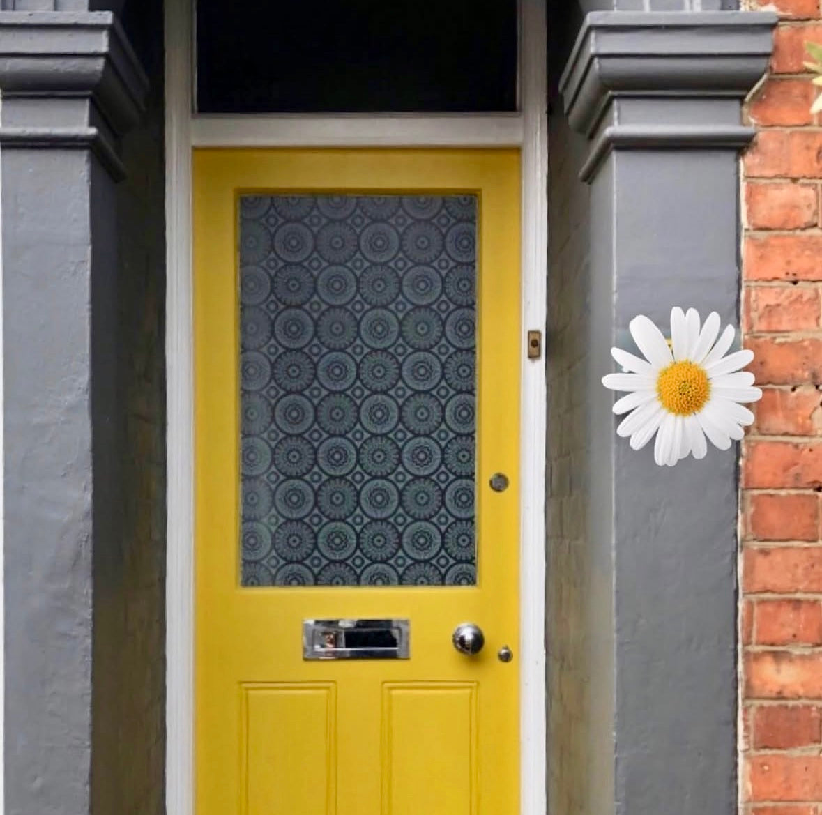 Darjeeling - Mini Moderns Designer Film