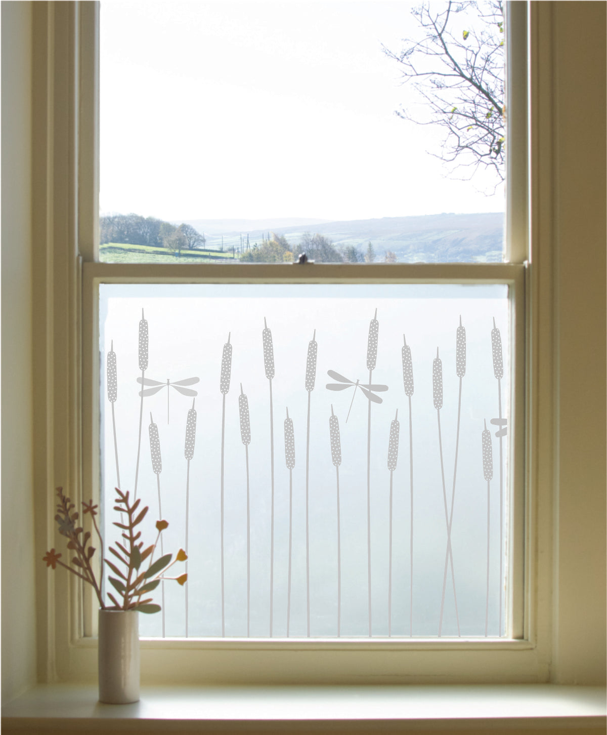 A window is a residential property featuring dragonfly by Hannah Nunn window film. 