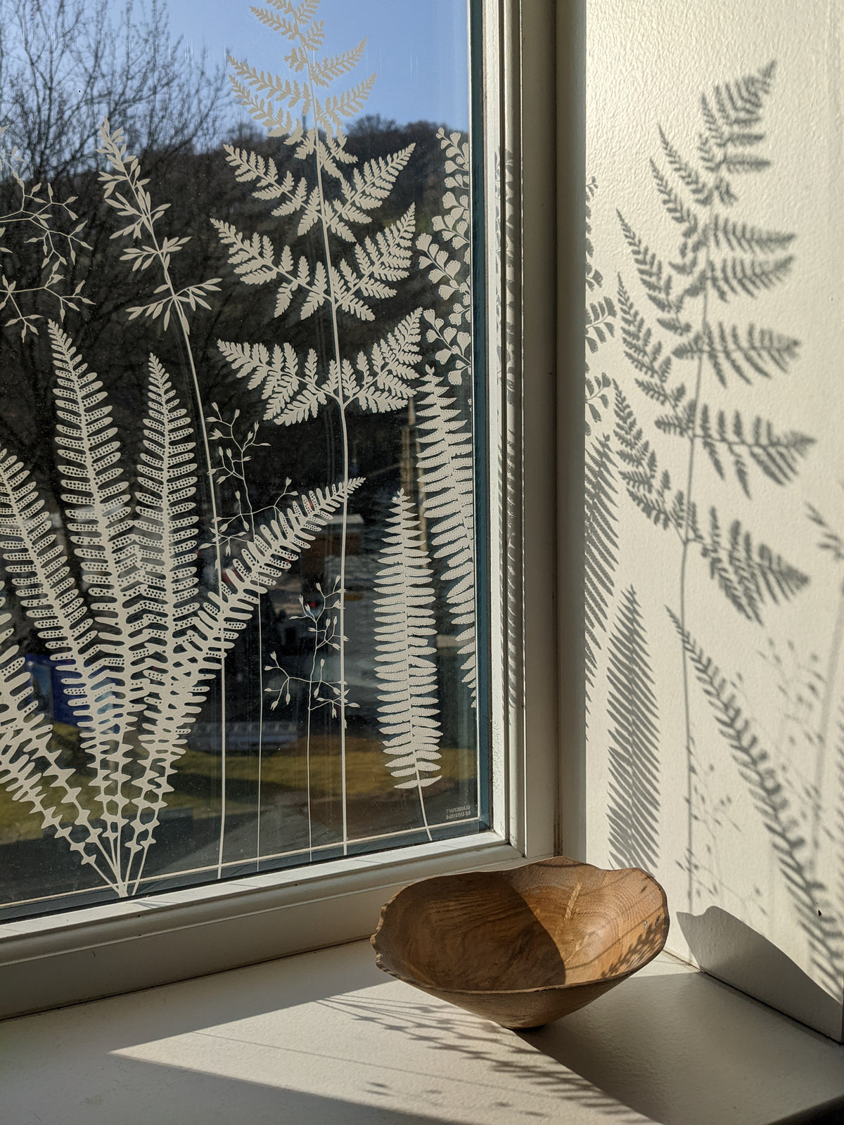 Window film featuring a frosted fern design applied to a window, with the window film pattern throwing patterns on the wall. There is a wooden bowl on the window ledge in the foreground. 
