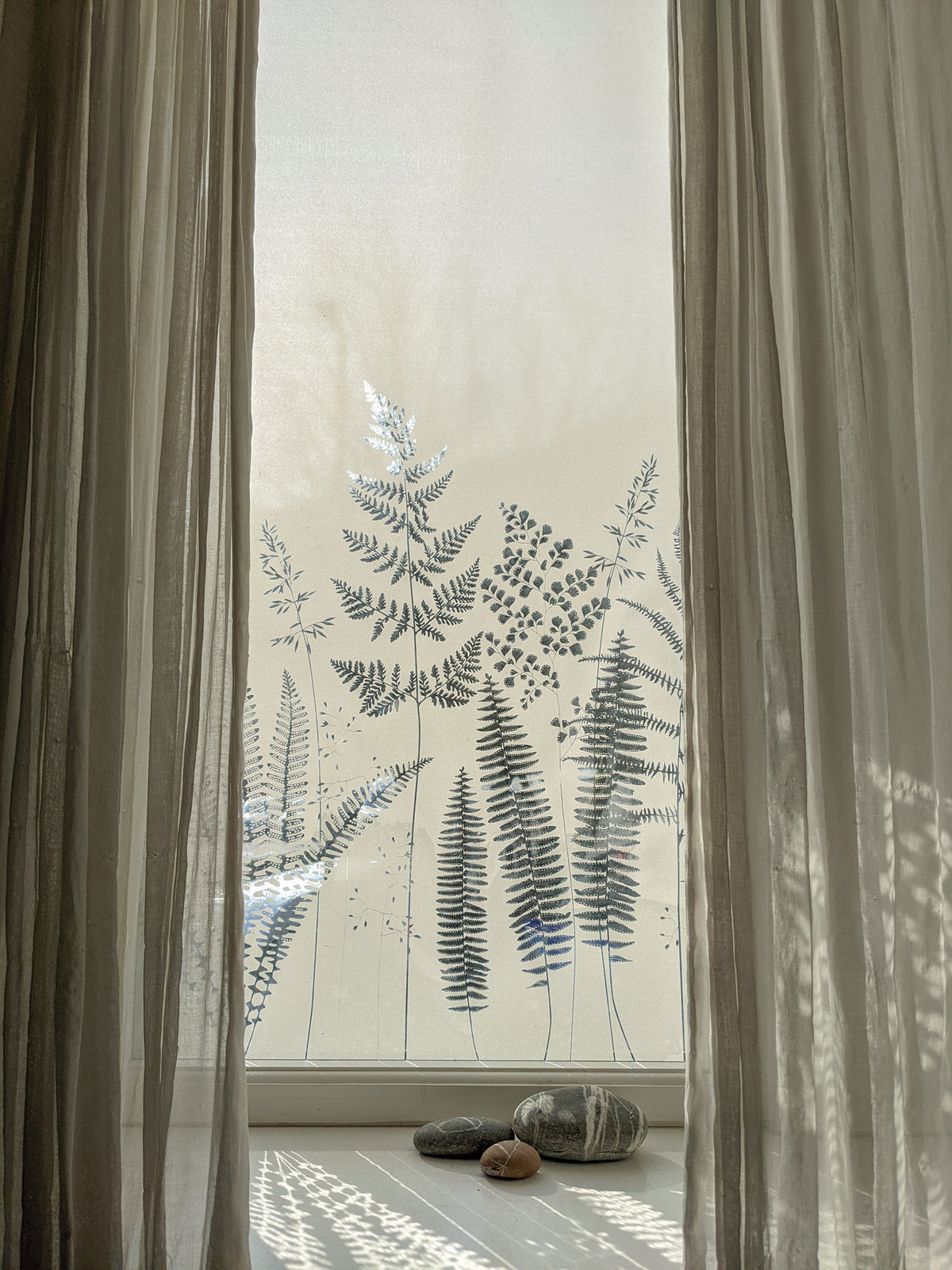 A window with a fern pattern printed onto a window film for privacy.