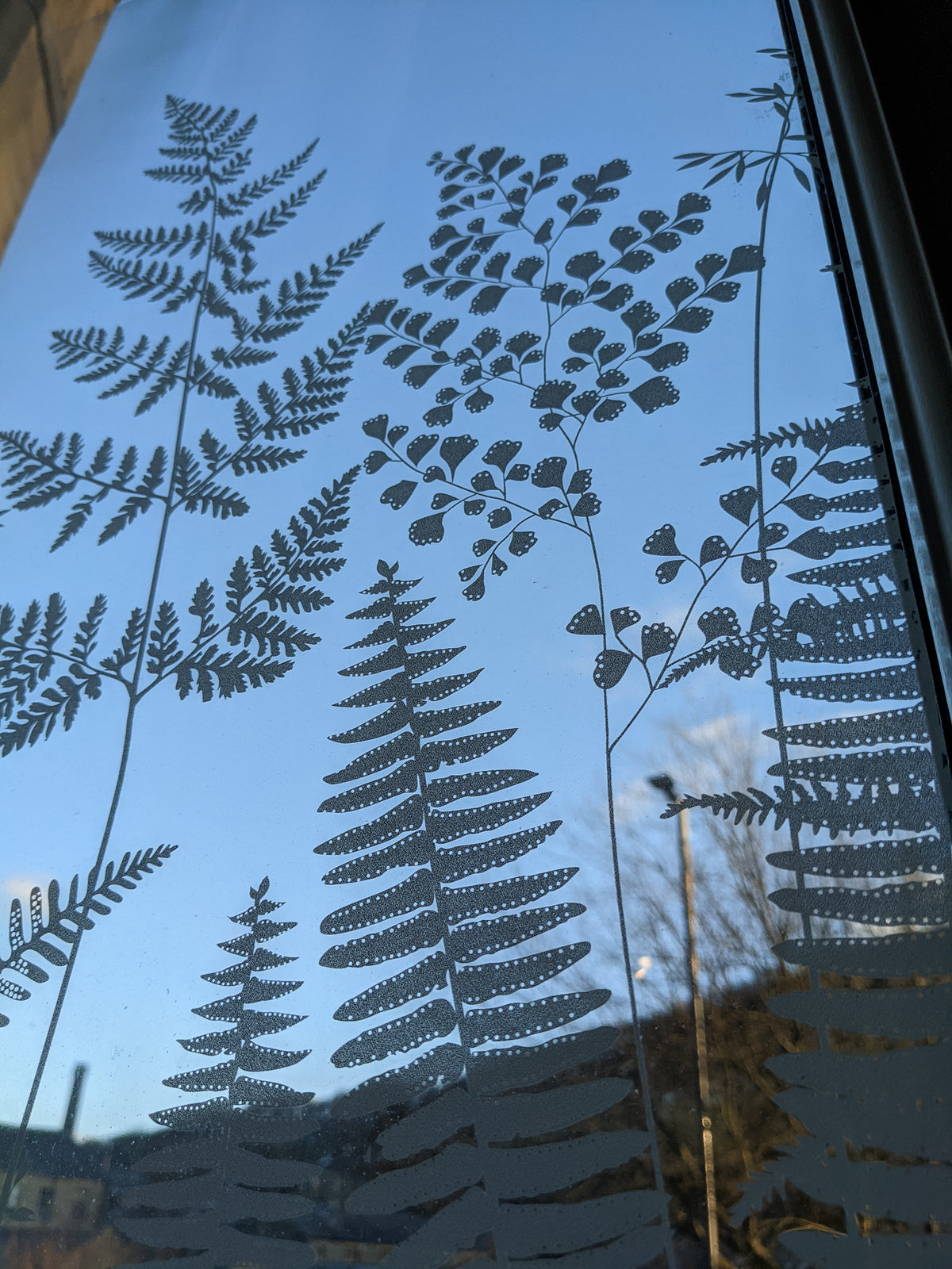 Fern leaf pattern printed onto a window film for glass decoration.