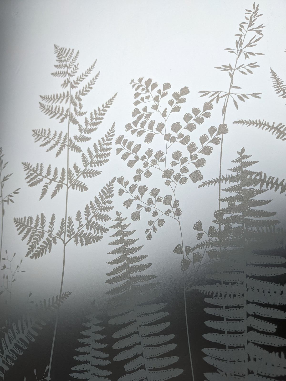 Fern leaf pattern design on a frosted window film for privacy.