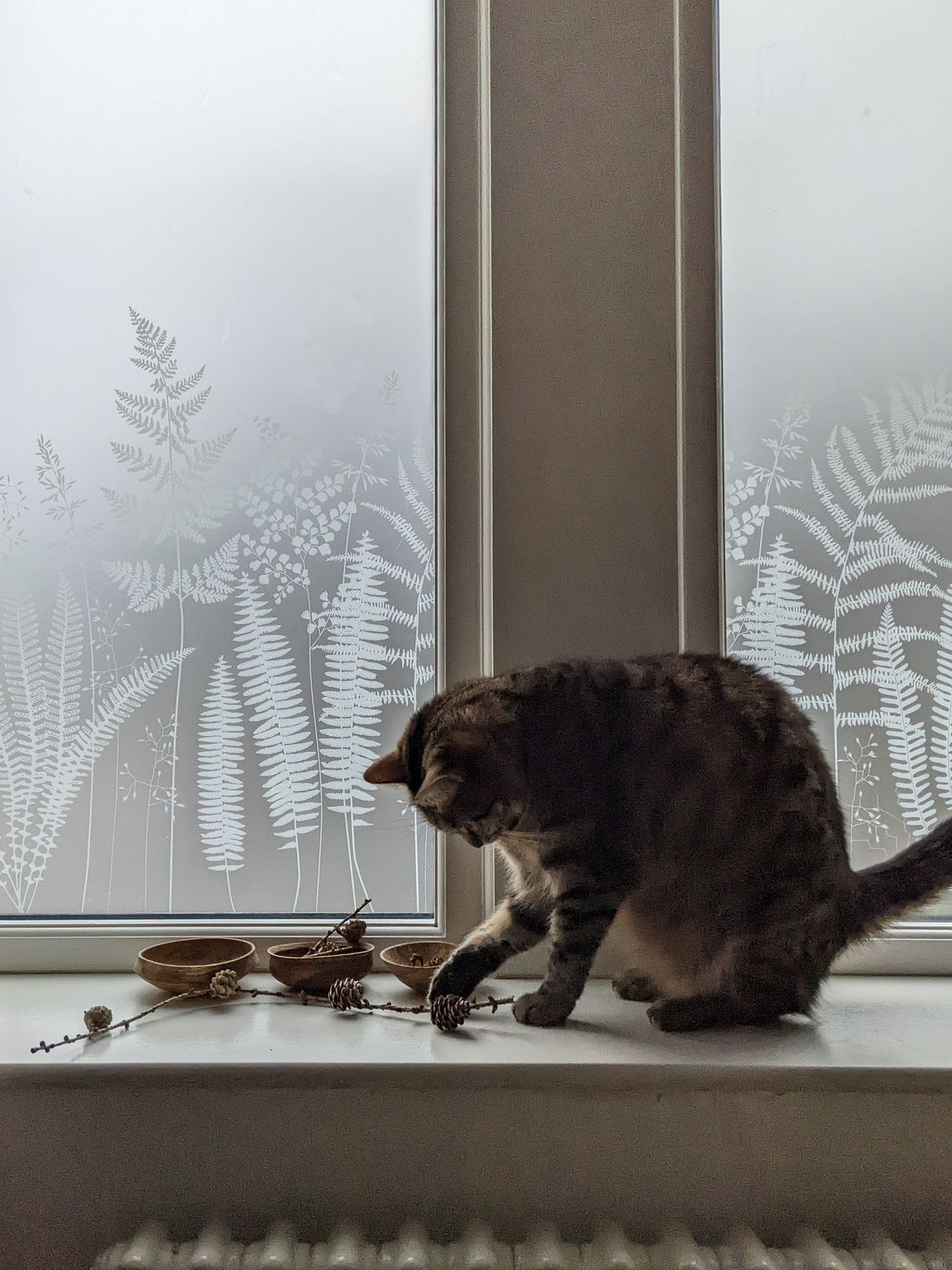 Cat playing with a toy on a windowsill in front of a window film design called Fern, by Hannah Nunn.
