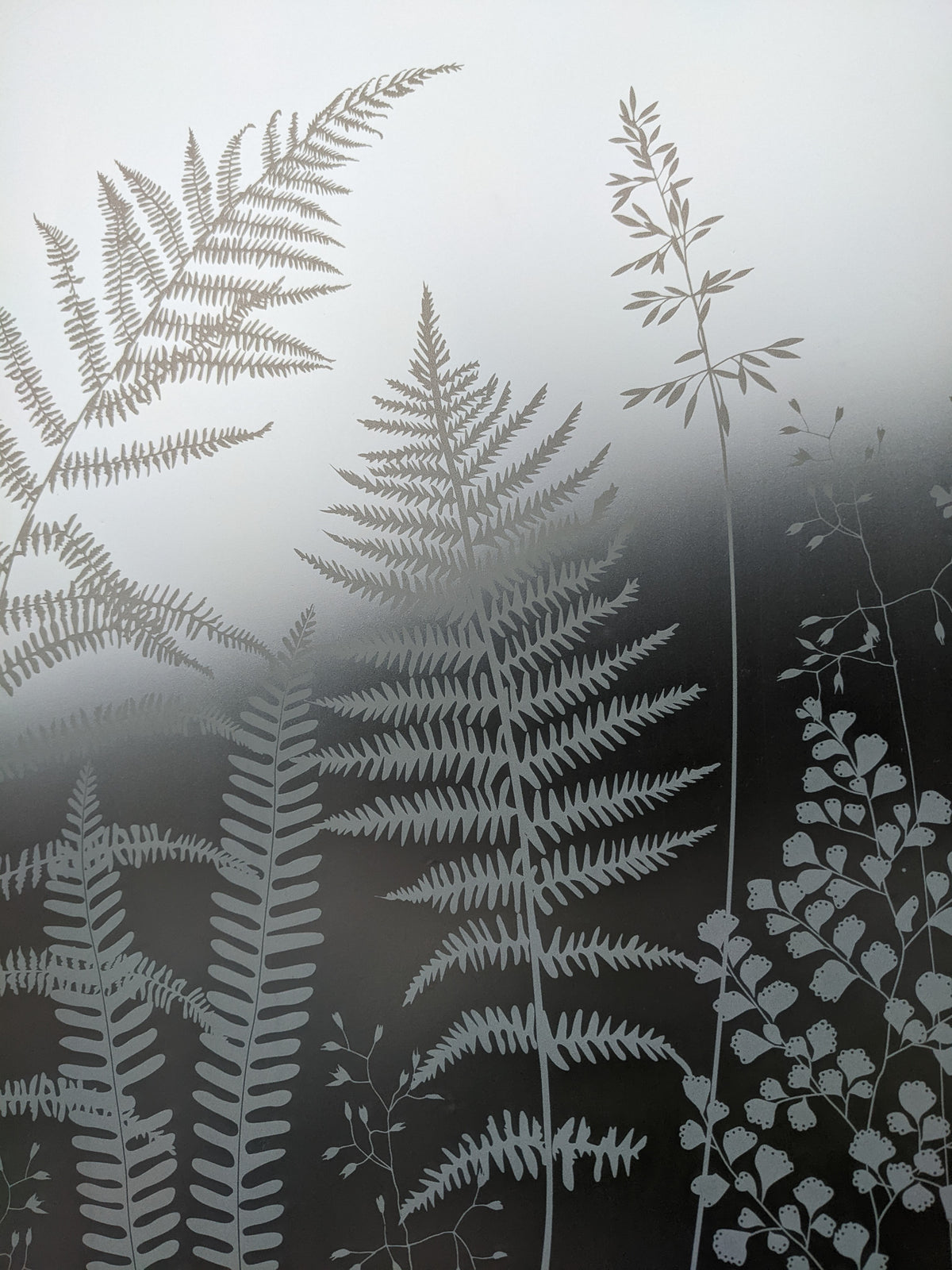Frosted glass with leaf patterns on an opaque background. 