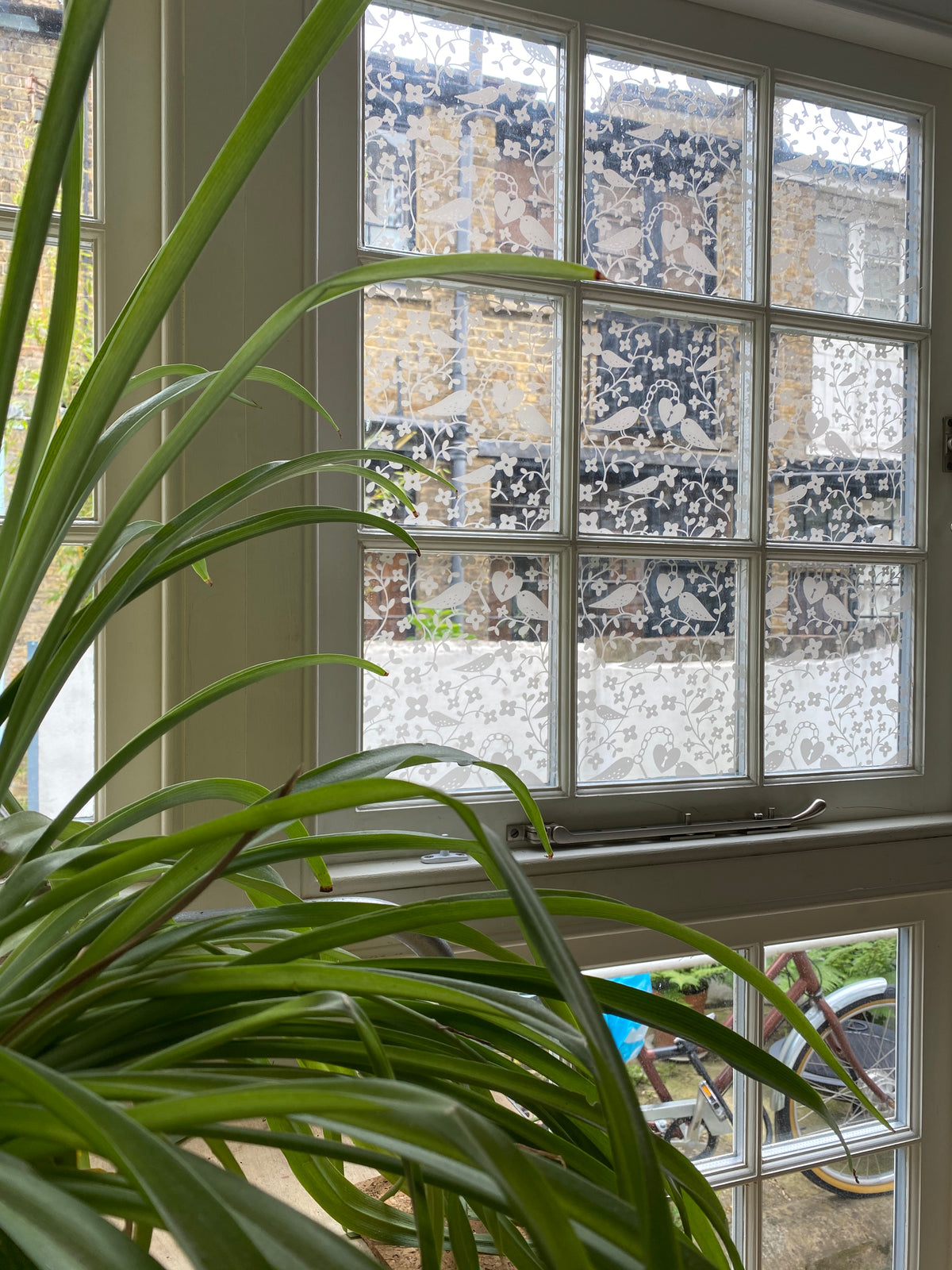Internal view of a window with a white frame, split into small panes, each one featuring frost on clear frosted window film with the Robb Ryan tiled bird pattern on it. There is a large green plant visible in the foreground. 