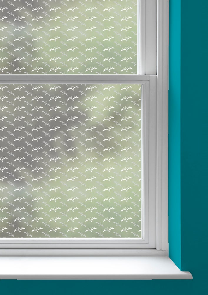 A window with Gulls patterned window film by Mini Moderns applied to both panes