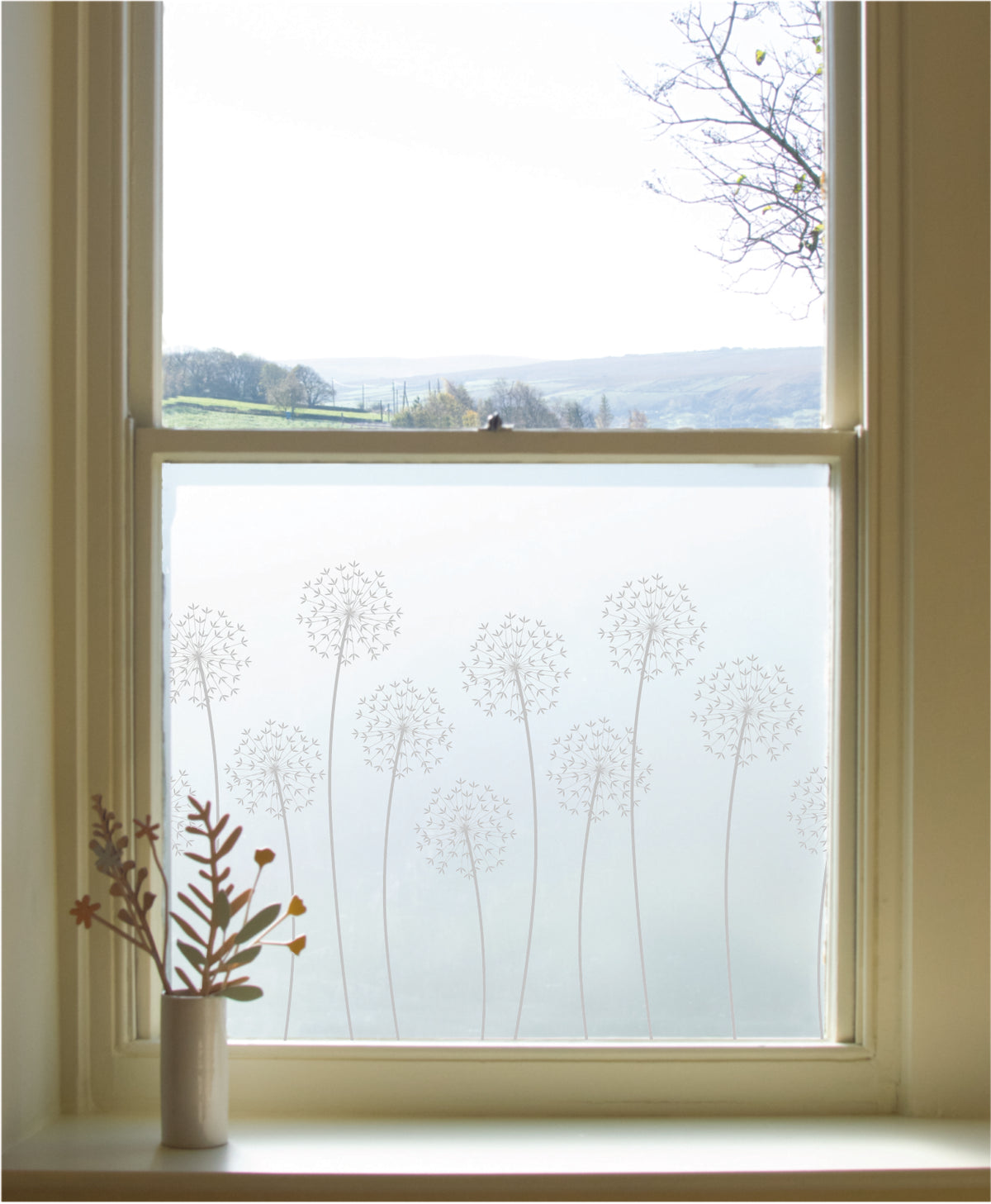 A window in a home featuring Allium window film by Hannah Nunn installed onto the lower pane. 