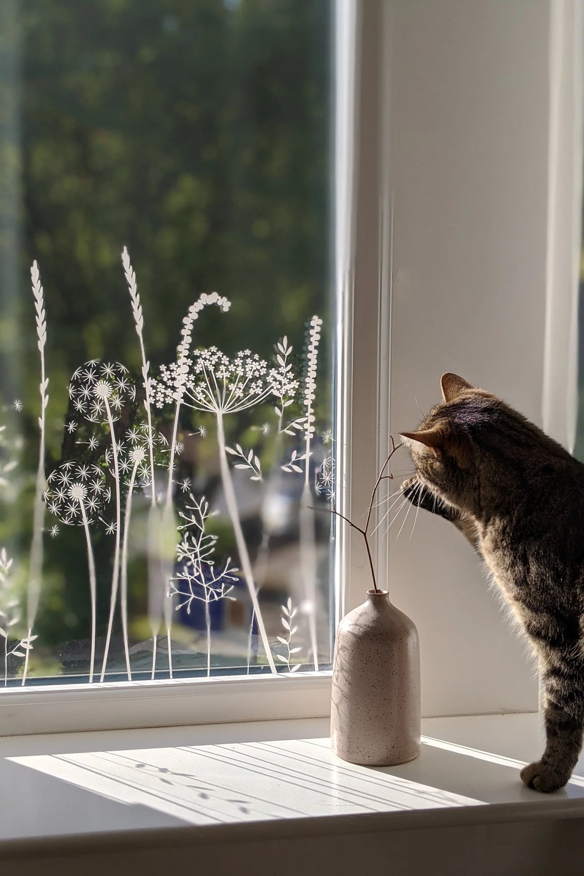 Cat on a window sill with a design by Hannah Nunn printed onto window film for decoration.