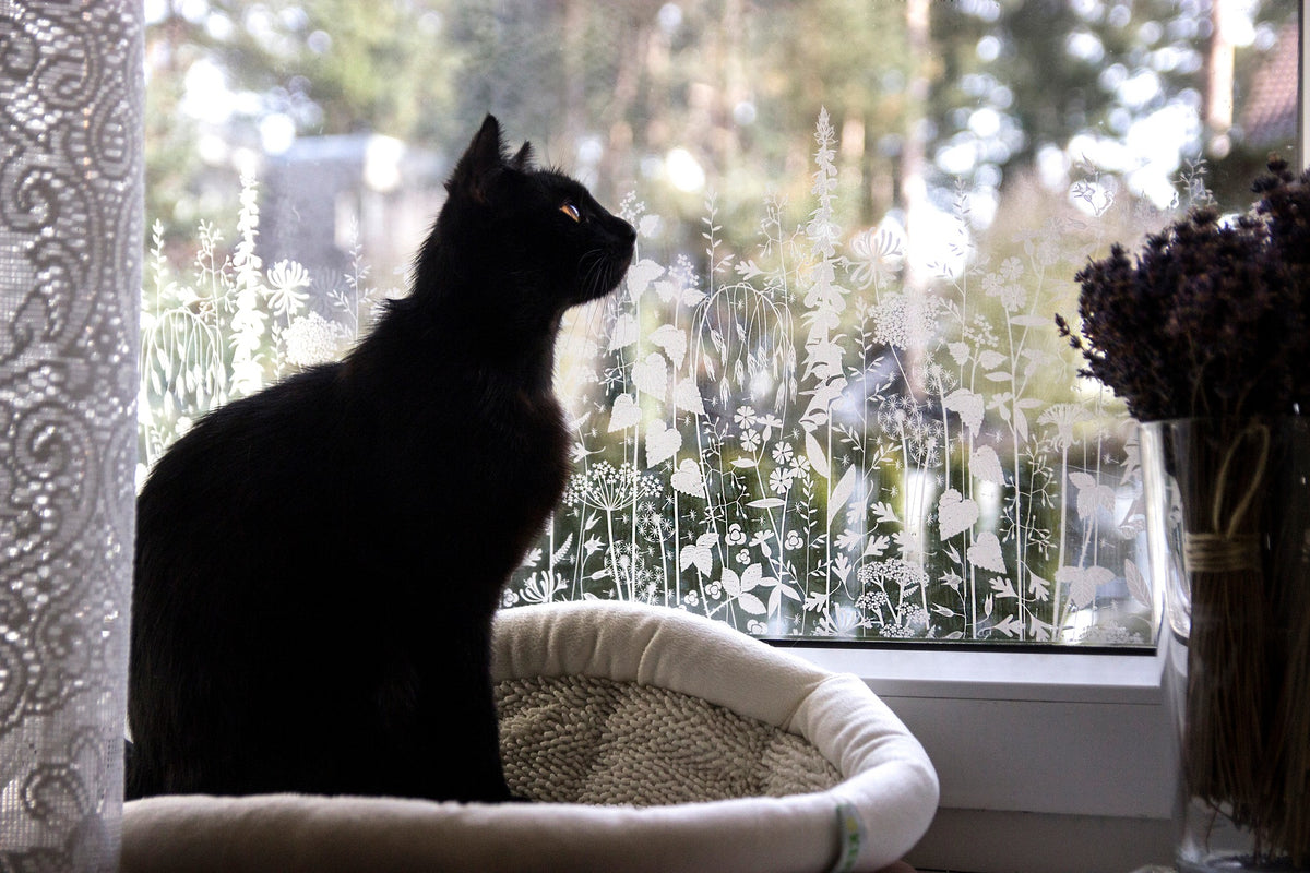 Large window in a residential property, with Hannah Nunn window film applied to the glass and a black cat sat on the window ledge in the foreground. 