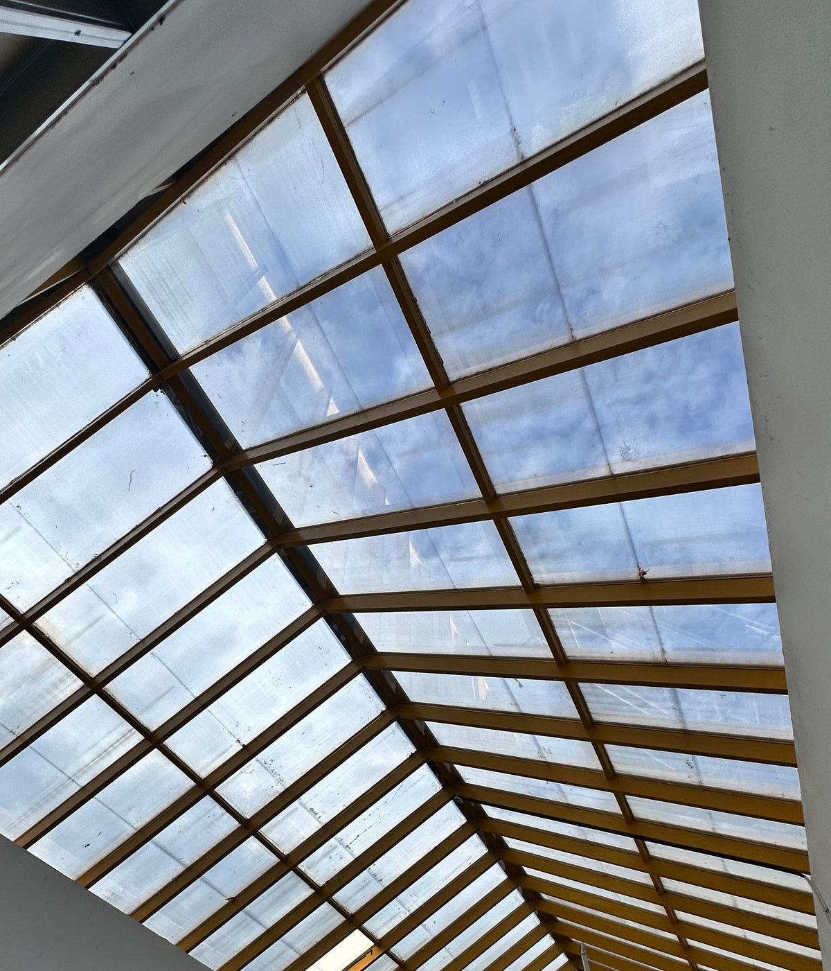 A large glass roof with multiple panels, each with solar control window film applied. 