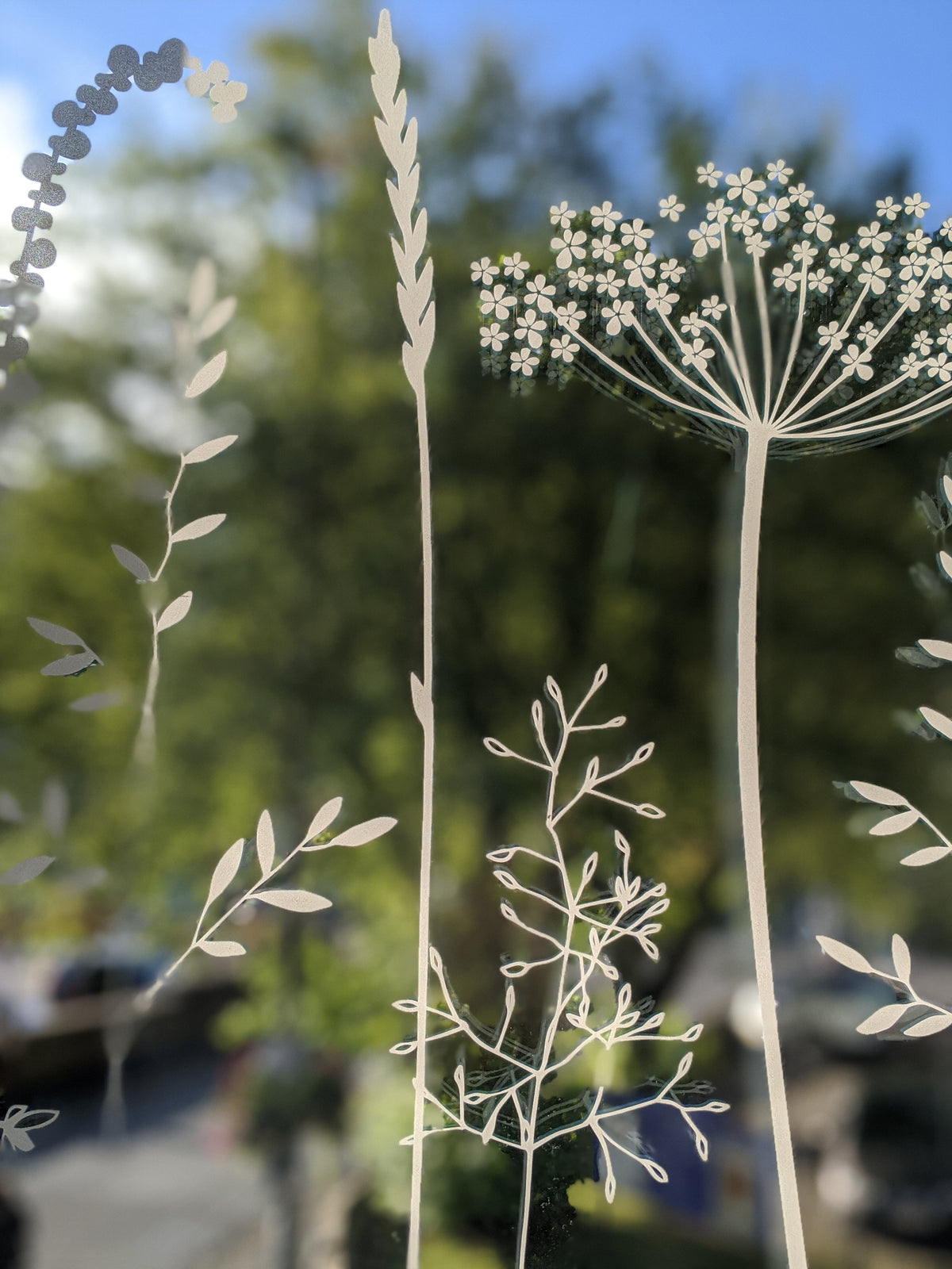 Decorative glass with etched plant designs against a blurred outdoor background