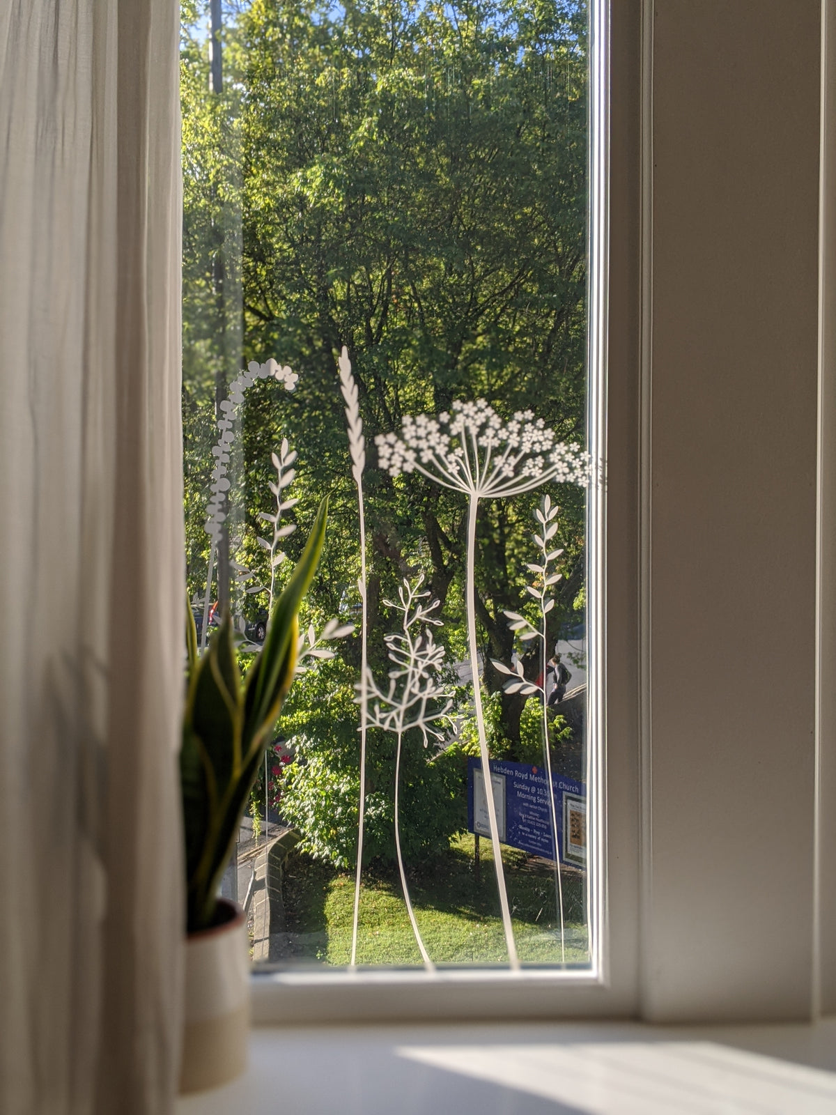 Tall grass window film design in an etched glass effect applied to a window.