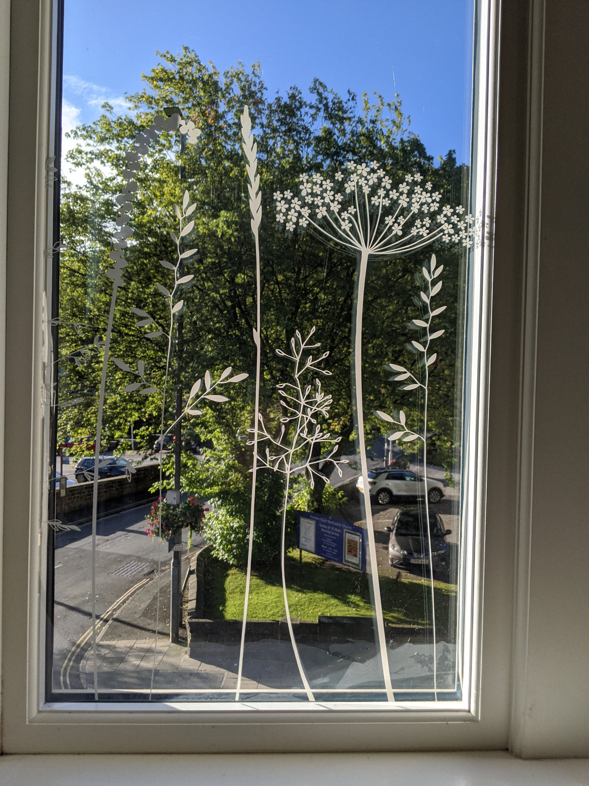 Decorative window film with plant designs applied to a glass pane.