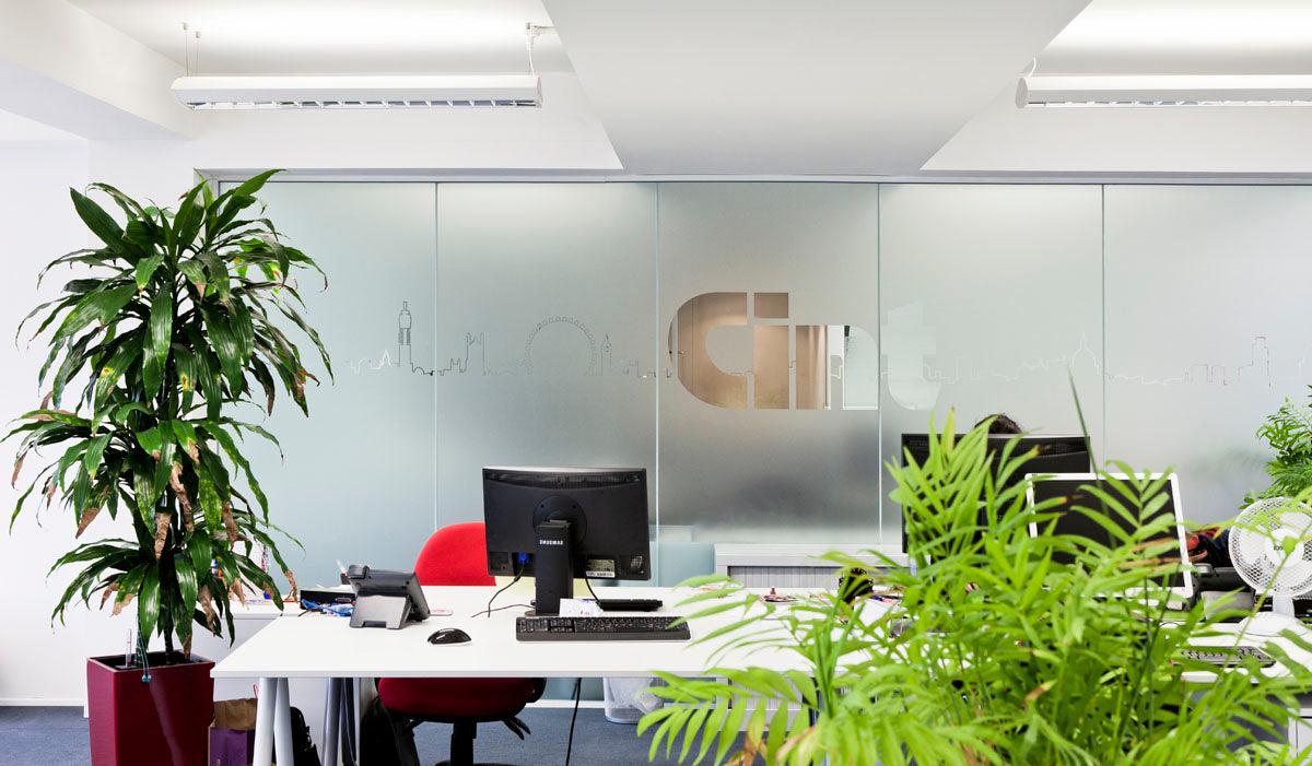 A modern office space with branded frosted window film applied the the glass partitions. 