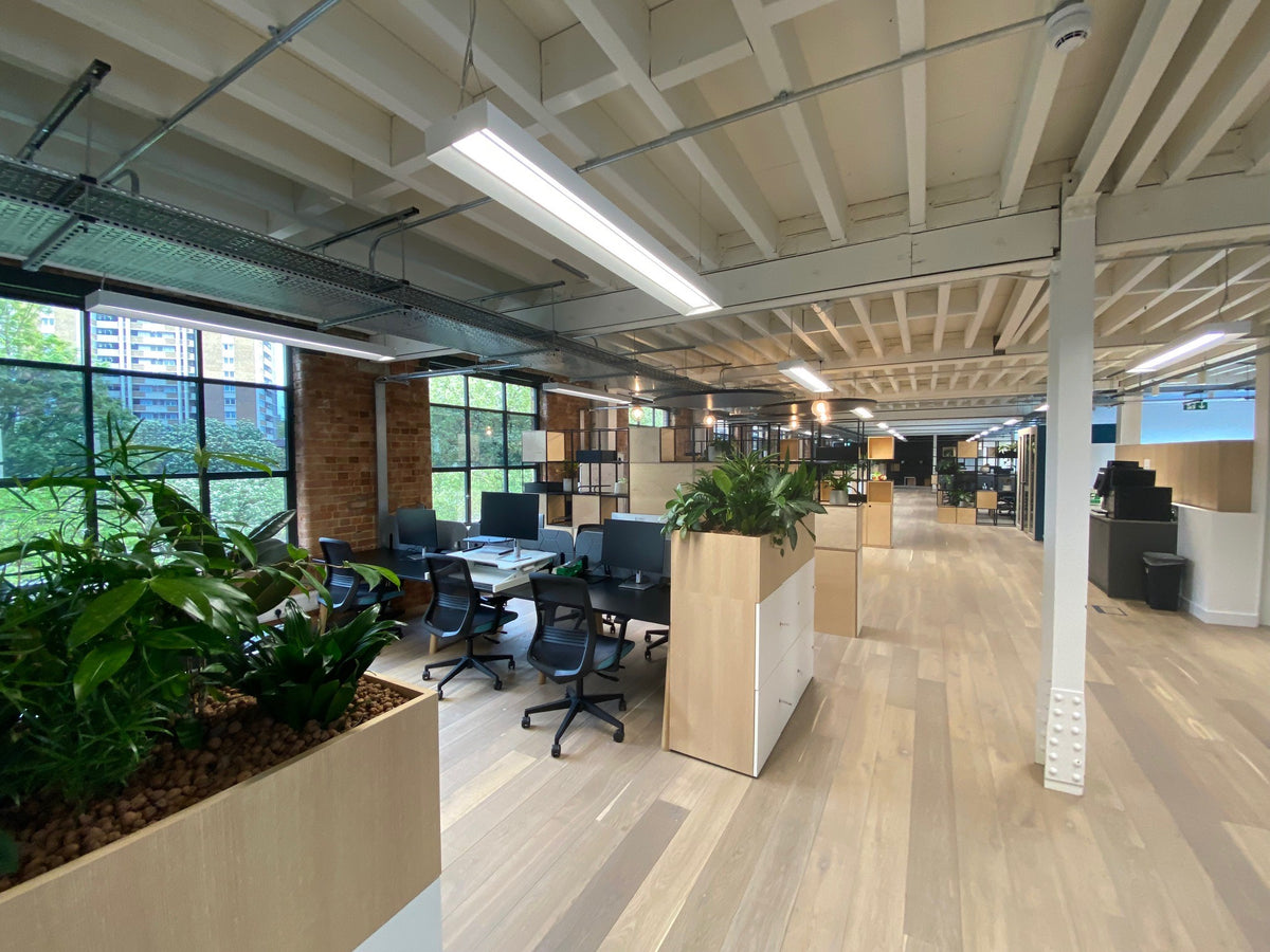 The inside of a modern office which has had Optiview 15 solar control window film applied to the glass.