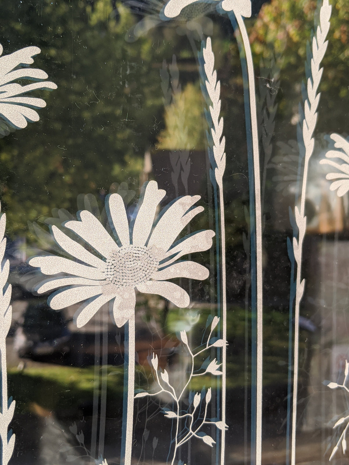 Decorative window film close up of etched daisies on glass.