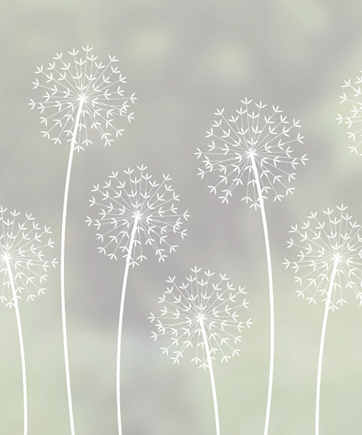 Close-up of Allium flower frosted window film pattern by designer Hannah Nunn.