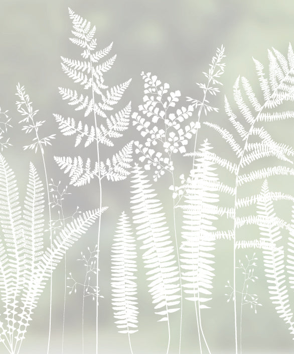 Close-up of Fern fern leaves frosted window film pattern by designer Hannah Nunn.