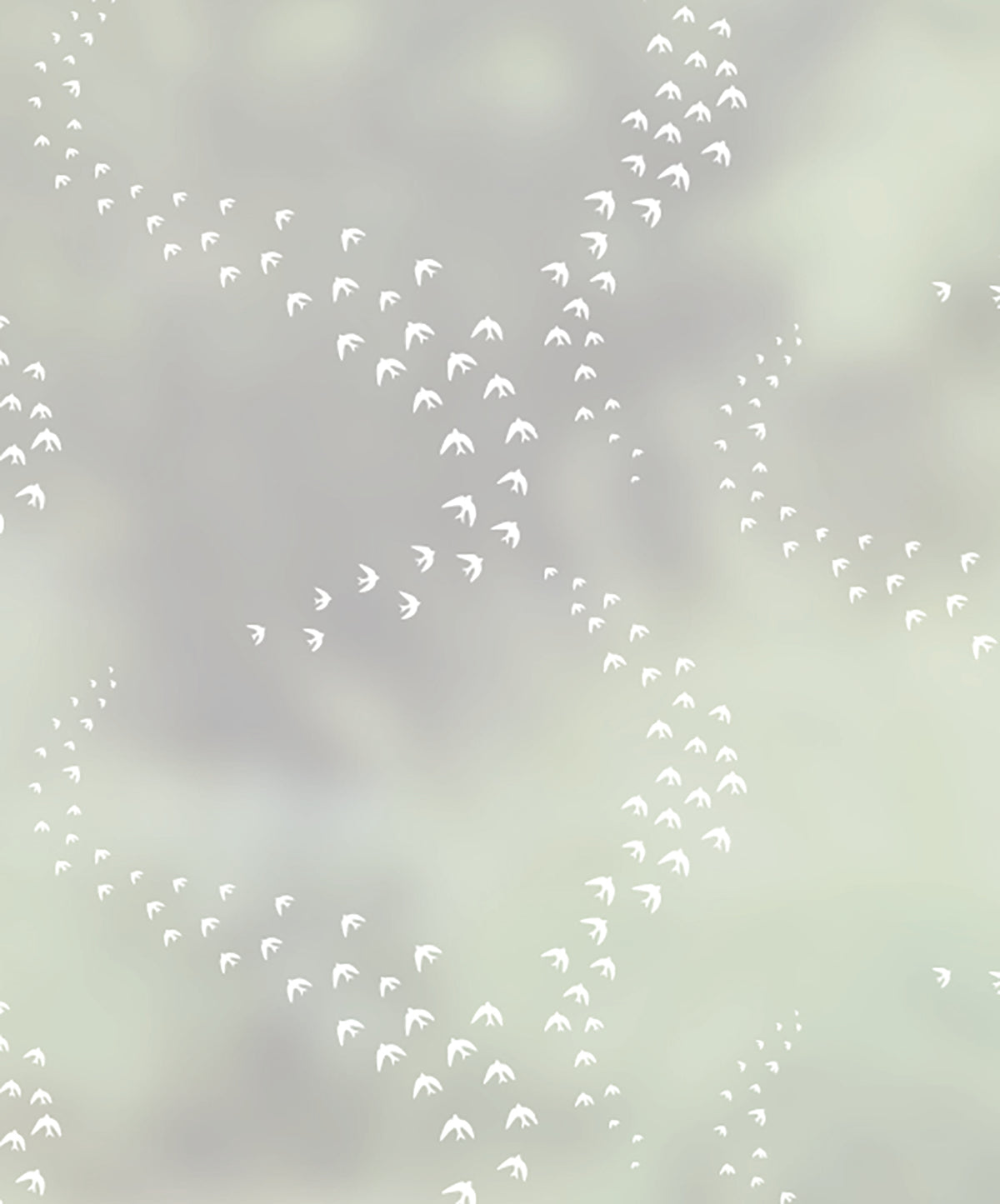 Close-up of Murmurations flocks of birds frosted window film pattern by JoJo CoCo.