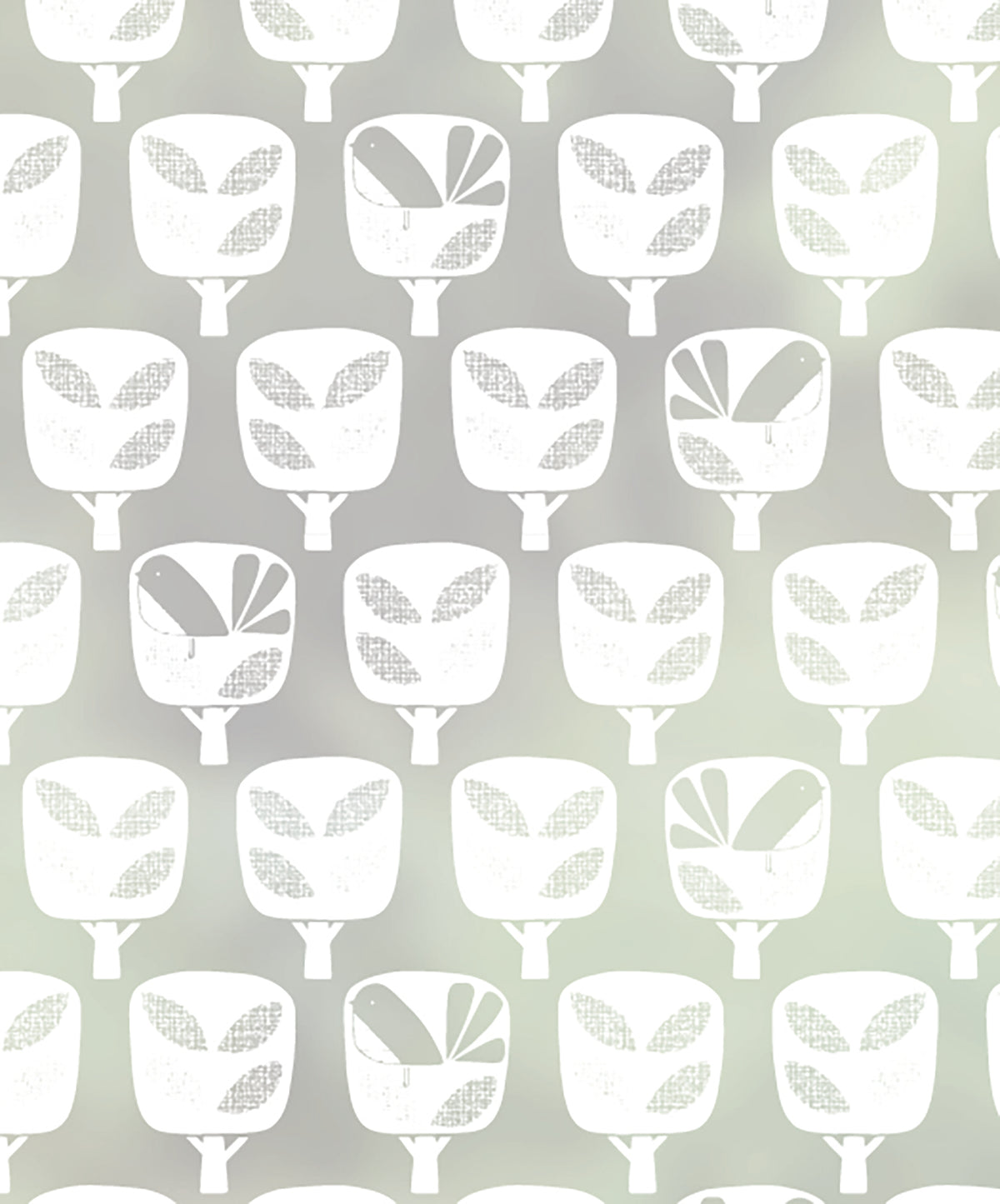 Close-up of Nesting Birds birds frosted window film pattern by JoJo CoCo.