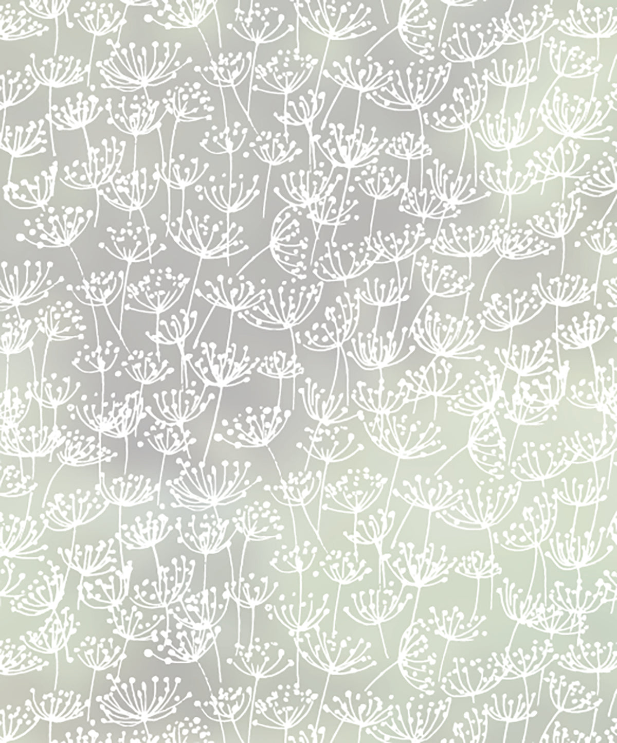 Close-up of Seedlings young plants frosted window film pattern by JoJo CoCo.