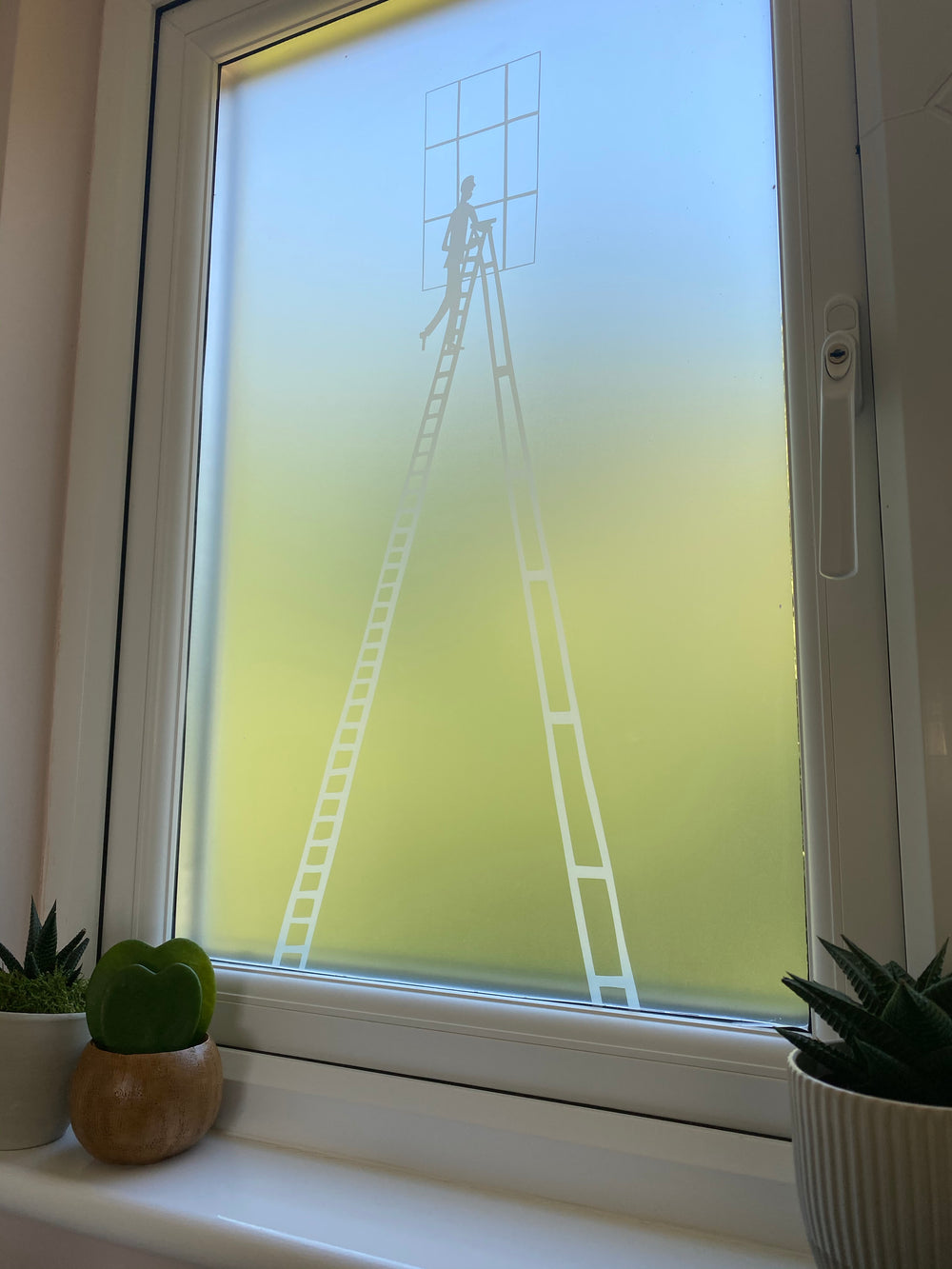 Step Ladder Decorative Frosted Window Film | Rob Ryan Designer Privacy ...