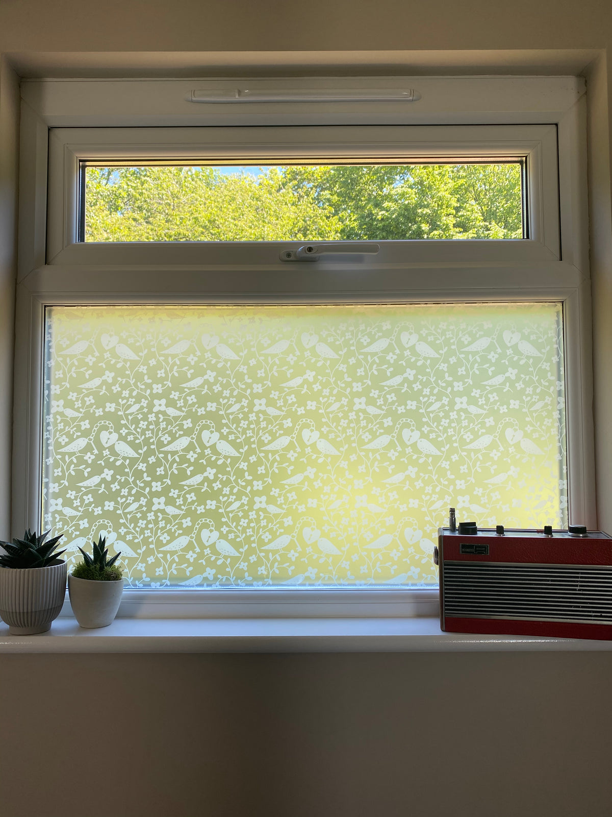 Window with a repeated white printed frosted window film applied to the large lower pane.