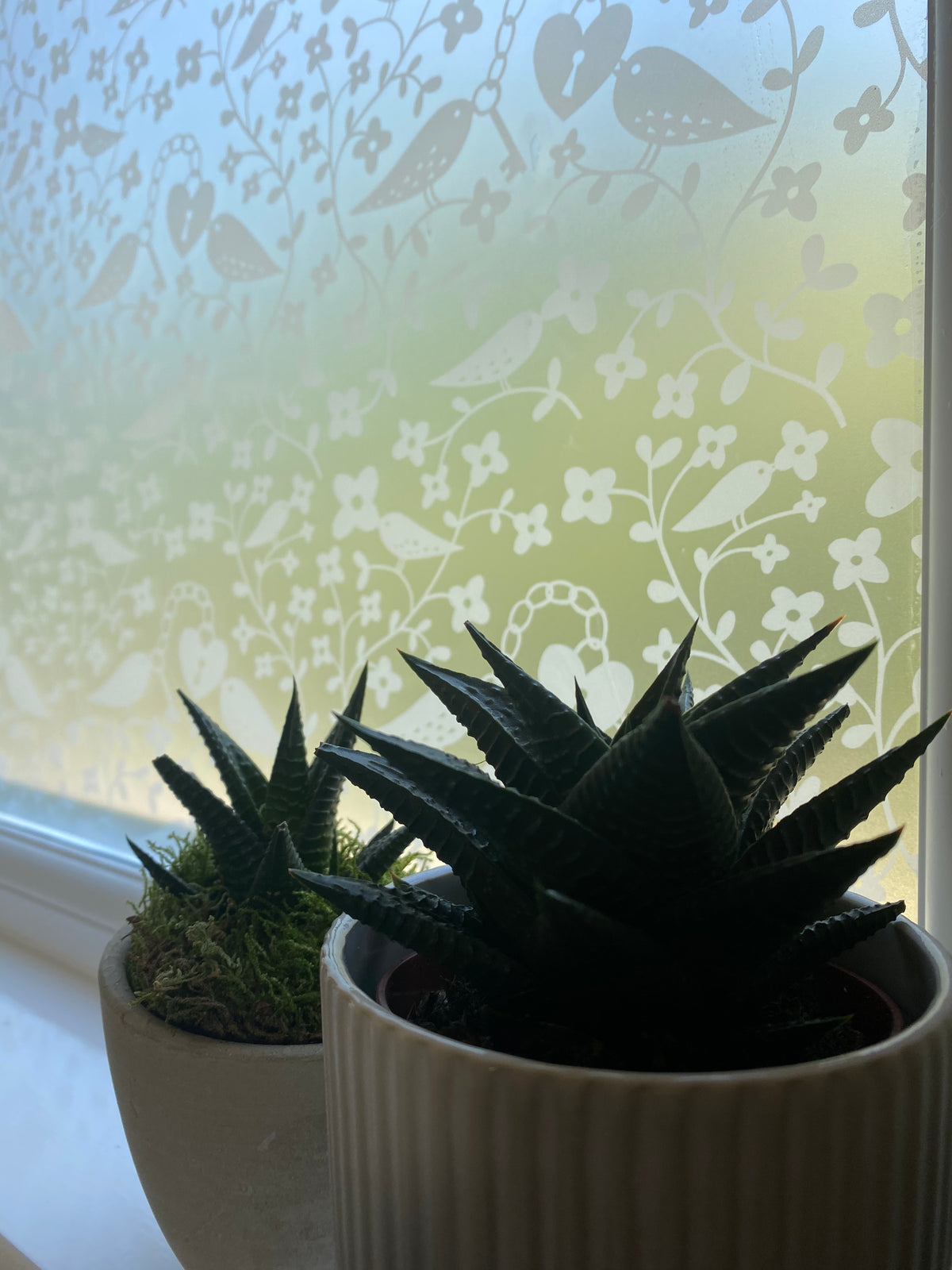 A window with white printed Rob Ryan designer window film applied to the glass, with two potted plants on the window sill in the foreground.