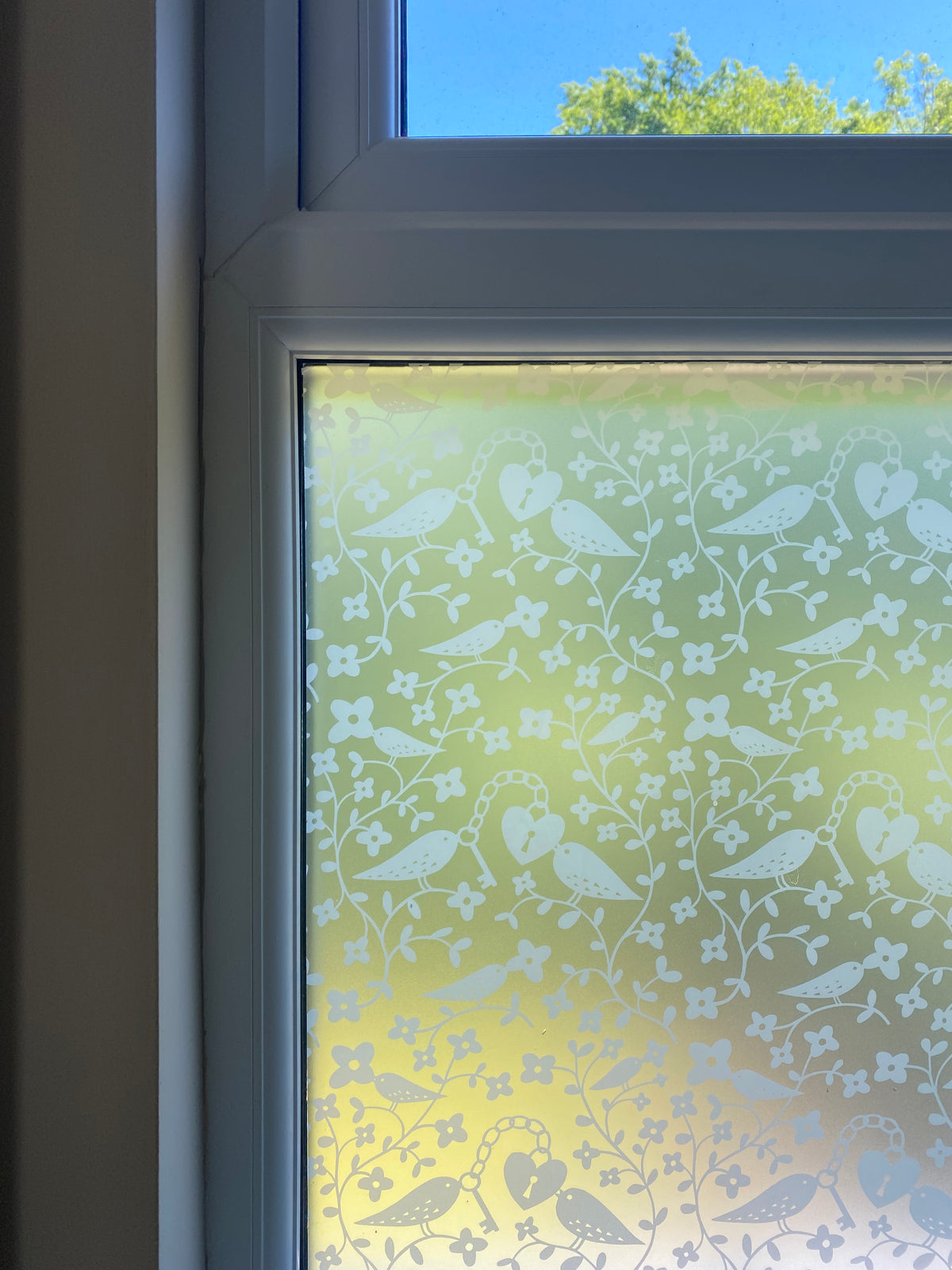 Close up shot of a window with a white frame and white printed Rob Ryan window film applied to the glass.