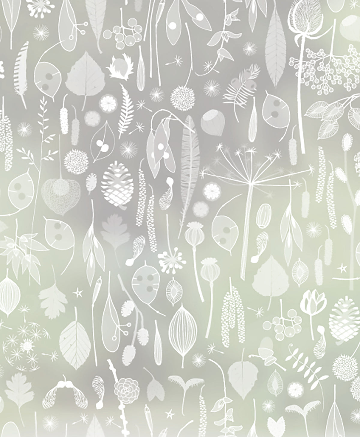 Close-up of Tiny Treasures small leaves and flowers frosted window film pattern by designer Hannah Nunn.