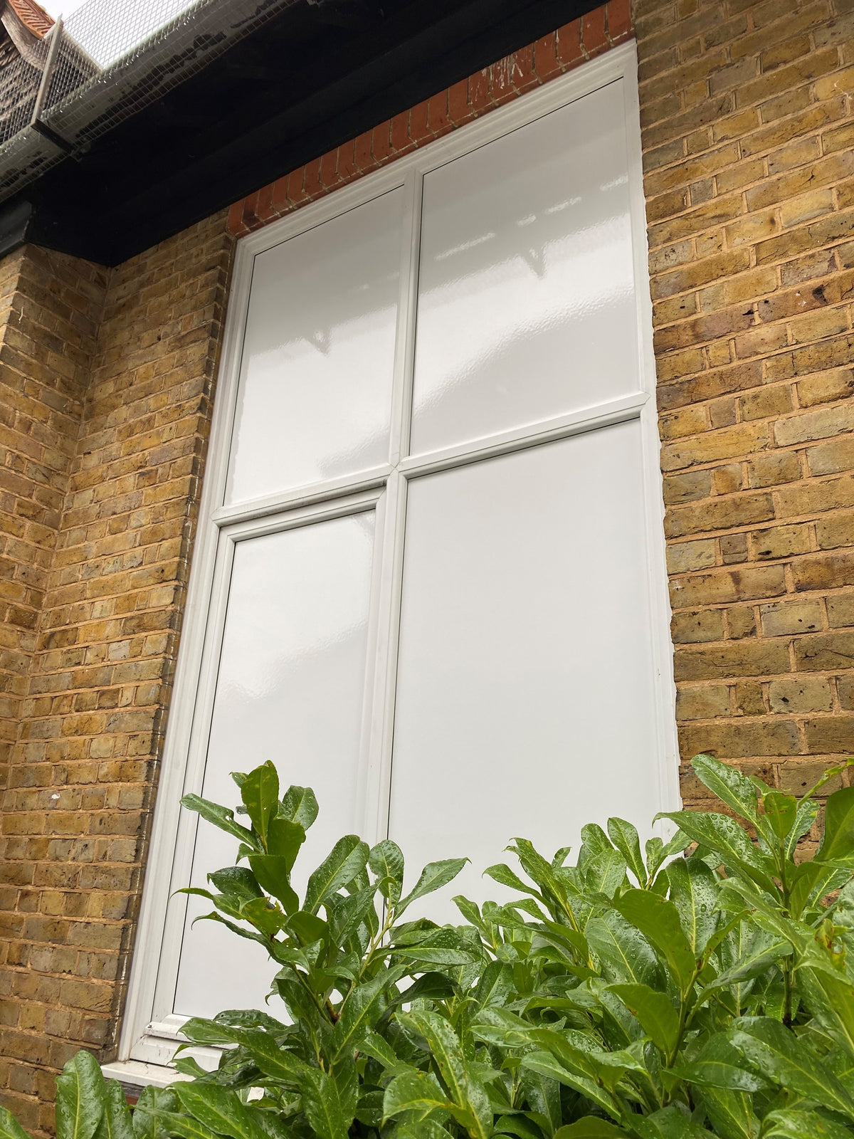 Whiteout Privacy Film - Privacy Window Film