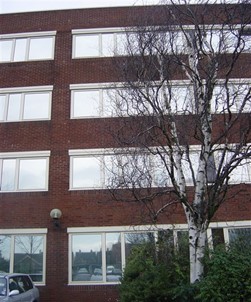 High Reflective Silver Window Film Solar Control