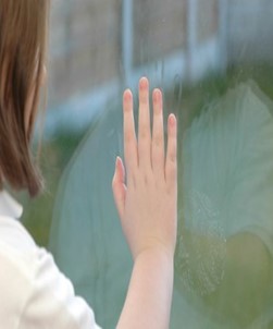 100 Micron Clear Safety & Security Window Film