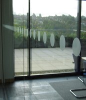 Glass Manifestation | Window Safety Stickers