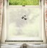 FB051 Frosted Window Film