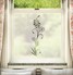 FB106 Frosted Window Film