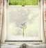 FB120 Frosted Window Film