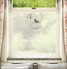 FB143 Frosted Window Film