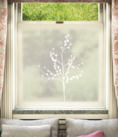 Albero Window Film Design