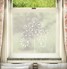 Bonito Window Film Design